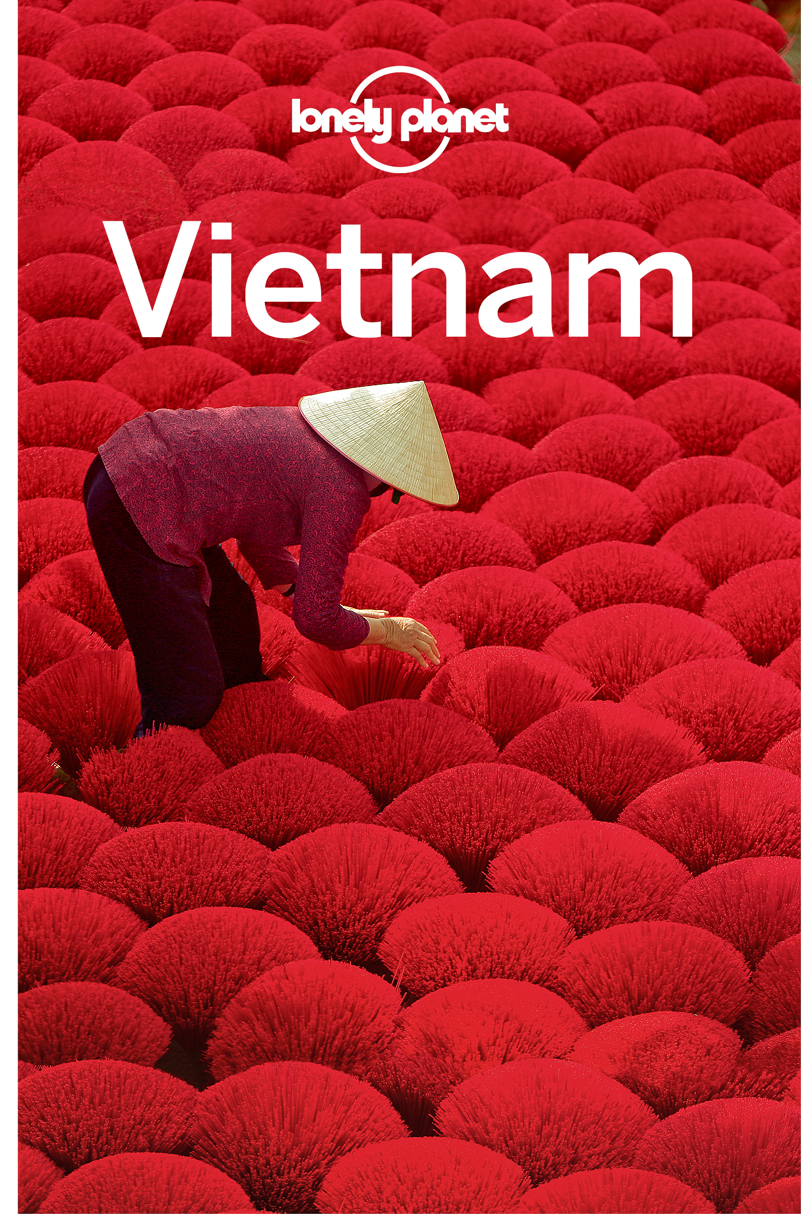 Full size book cover of Lonely Planet Vietnam}