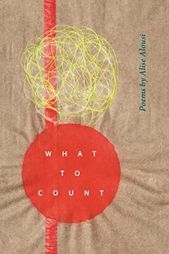 Full size book cover of What to Count}