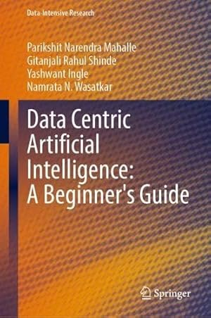 Data Centric Artificial Intelligence: A Beginner’s Guide