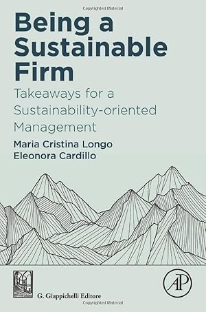 Book cover of Being a Sustainable Firm: Takeaways for a Sustainability-Oriented Management}